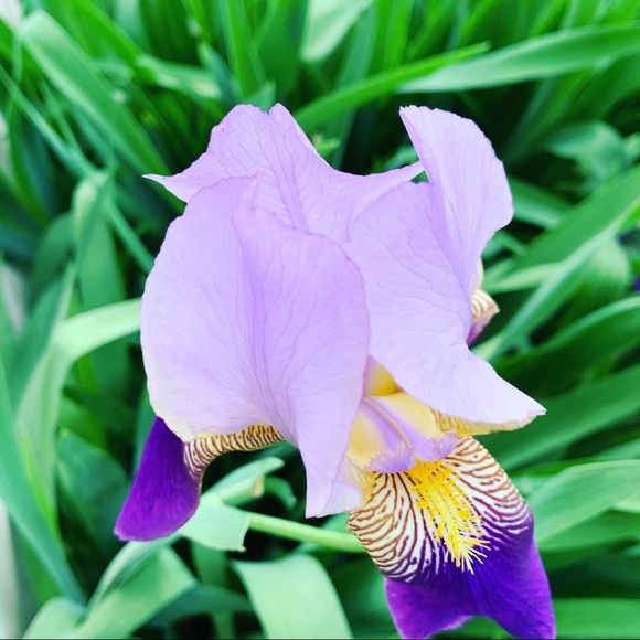 Meet your Posher, Karen - Picture 2 of 3